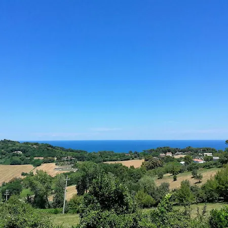 Gli Ulivi Del Conero