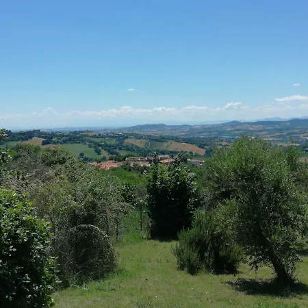 Gli Ulivi Del Conero