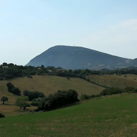 Gli Ulivi Del Conero Casa de Férias