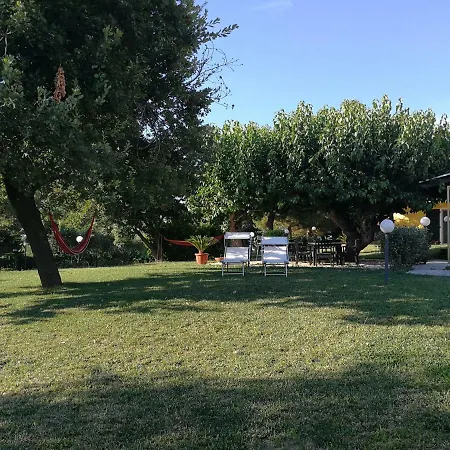Gli Ulivi Del Conero