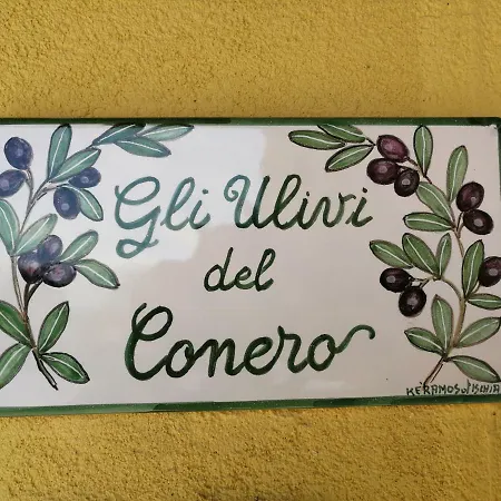 Gli Ulivi Del Conero * Ancona